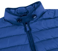 Blue Regular Classic Fit Goose Down Vest
