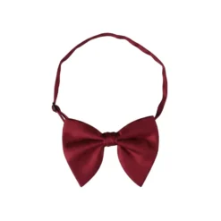 Burgundy Butterfly Bow Tie