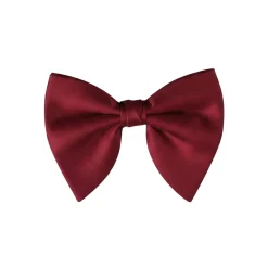 Burgundy Butterfly Bow Tie