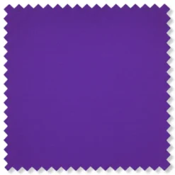 Kingsman Collection - Purple Slim Fit Shawl Collar 2 Piece Tuxedo