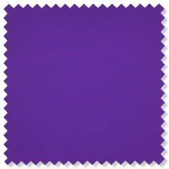 Kingsman Collection - Purple Slim Fit Shawl Collar 2 Piece Tuxedo