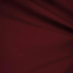 Men's Burgundy Regular Fit Everyday Blazer