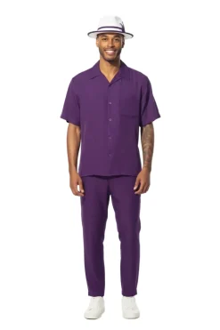 Men's 2 Piece Walking Suit Summer Short Sleeves in Purple