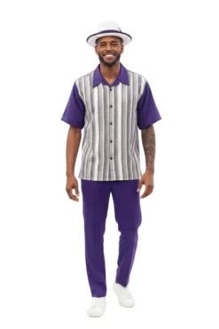 Multi-Tone Vertical Stripe Short Sleeve Walking Suit - Purple