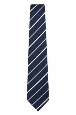 Navy Diagonal Striped Textured Tie
