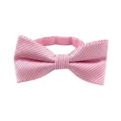 Pink Diagonal Striped Bow Tie