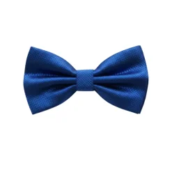 Royal Blue Textured Bow Tie