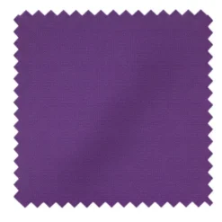 Slim Fit Men's Suit 2 Piece 2 Button in Purple